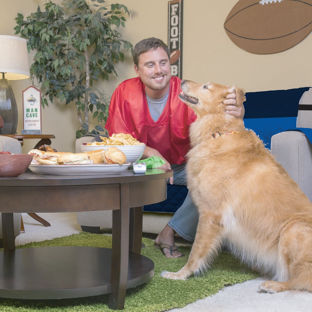 Dallas Mavericks Pegasus Sofa Protector