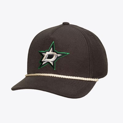  Dallas Stars Mitchell & Ness Heritage Hues Pro Crown Snapback Hat - Charcoal