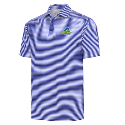 Delaware Fightin' Blue Hens Antigua Skills Polo - Royal