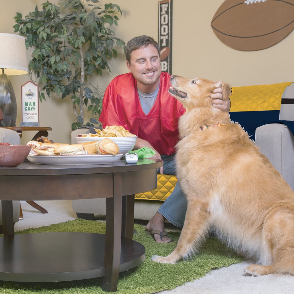 Denver Nuggets Pegasus Sofa Protector