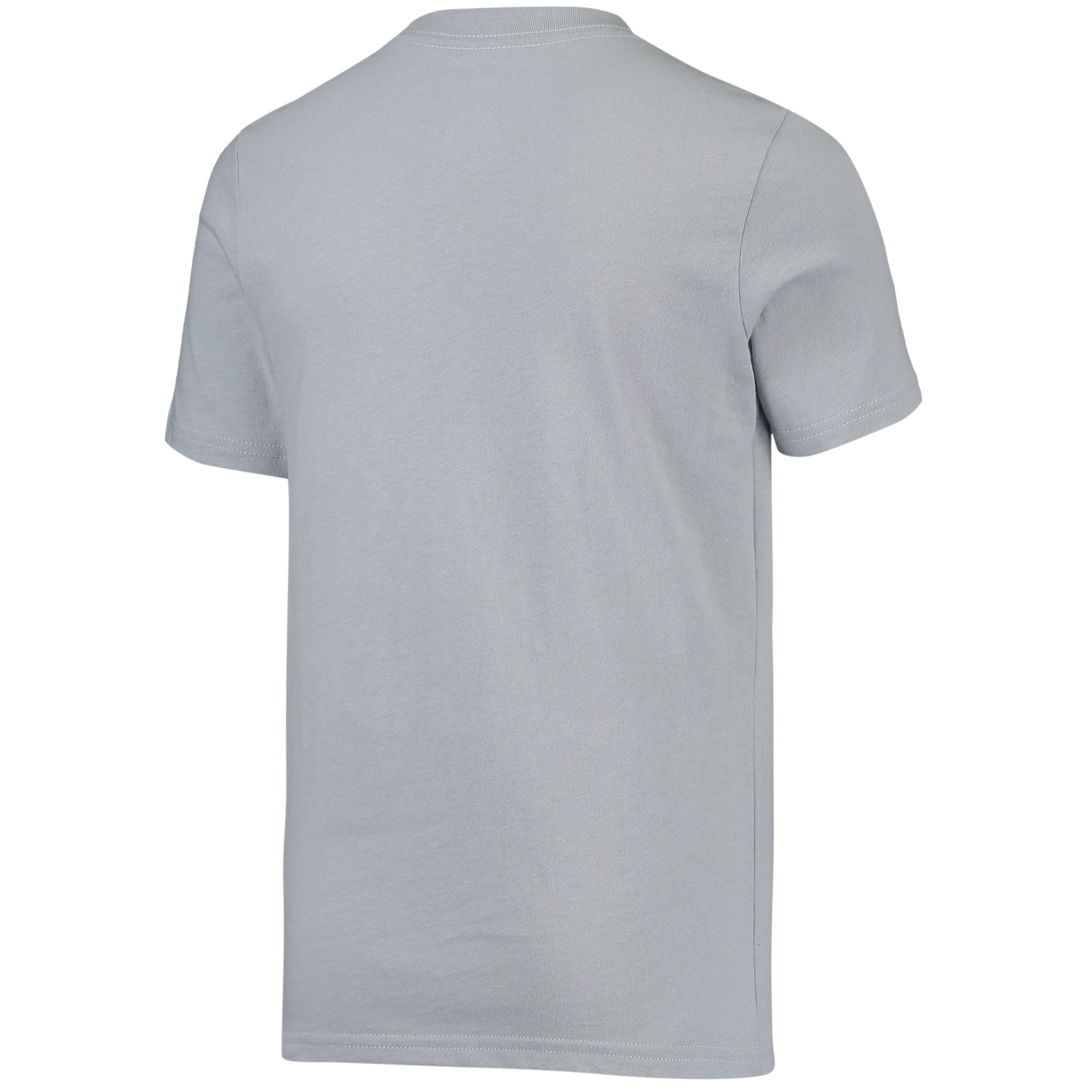 Youth Blue/Silver Detroit Lions For the Love of the Game T-Shirt
