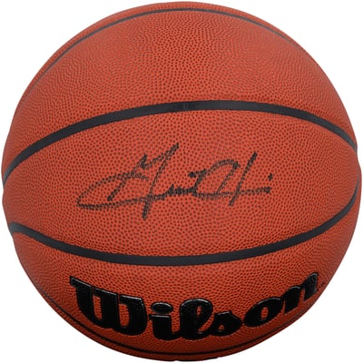 Grant Hill Detroit Pistons Autographed Fanatics Authentic Wilson Authentic Series Indoor/Outdoor Basketball