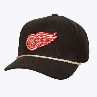  Detroit Red Wings Mitchell & Ness Heritage Hues Pro Crown Snapback Hat - Charcoal