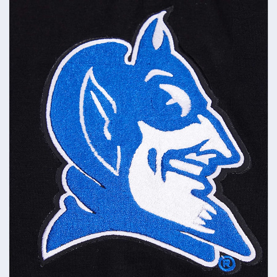 Duke University Blue Devils