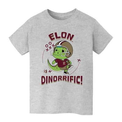 Elon Phoenix Vive La Fete Youth Dinorrific T-Shirt - Gray