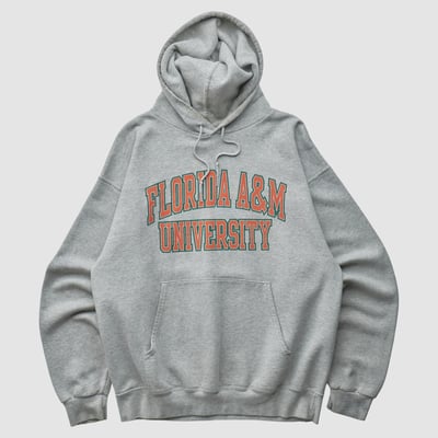 Florida A&M Rattlers Champion 2000s Hooded Pullover Sweatshirt - Heather Gray - M by Fanatics Real Vintage