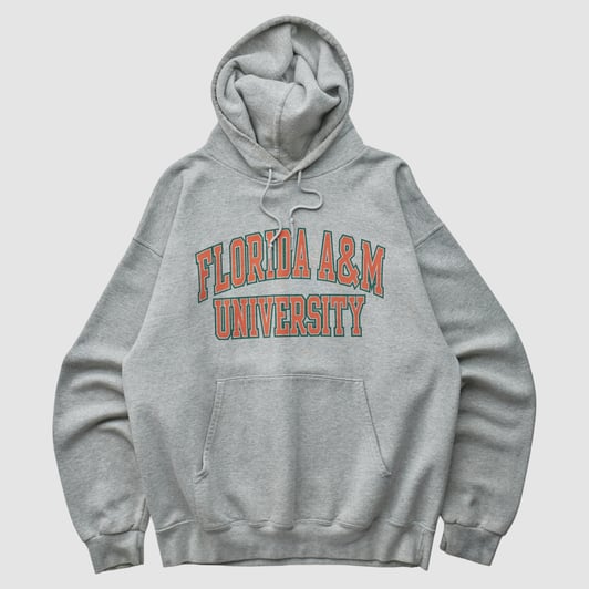 Florida A&M Rattlers Champion 2000s Hooded Pullover Sweatshirt - Heather Gray - M by Fanatics Real Vintage