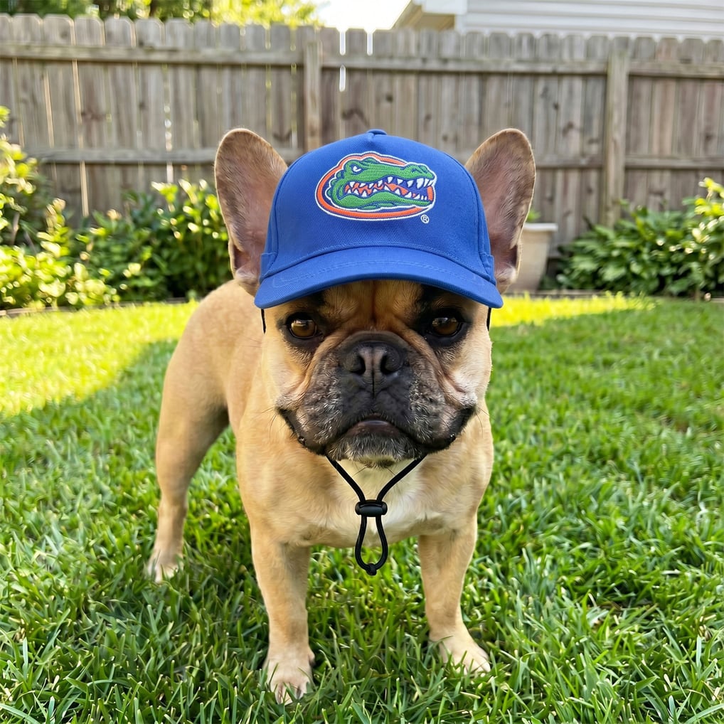 Florida Gators Adjustable Pet Hat