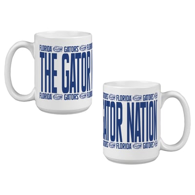 Indigo Falls Florida Gators Elevated Mug - Set of 2
