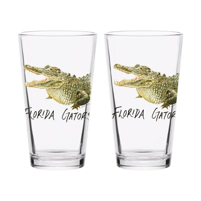  Florida Gators Indigo Falls Laura Wilcox Mascot Pint Glass Set of 2