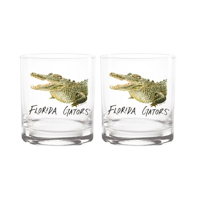  Florida Gators Indigo Falls Laura Wilcox Mascot Rocks Glass Set of 2