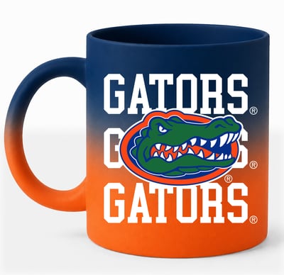 Florida Gators Pegasus 16oz. Echo Fade Soft Touch Ceramic Mug