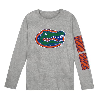 Florida Gators Outerstuff Preschool Air Raid Long Sleeve T-Shirt - Gray