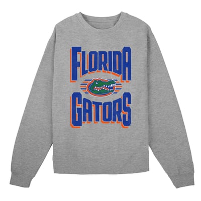 Florida Gators Outerstuff Preschool Jet Stream Sweatshirt - Gray