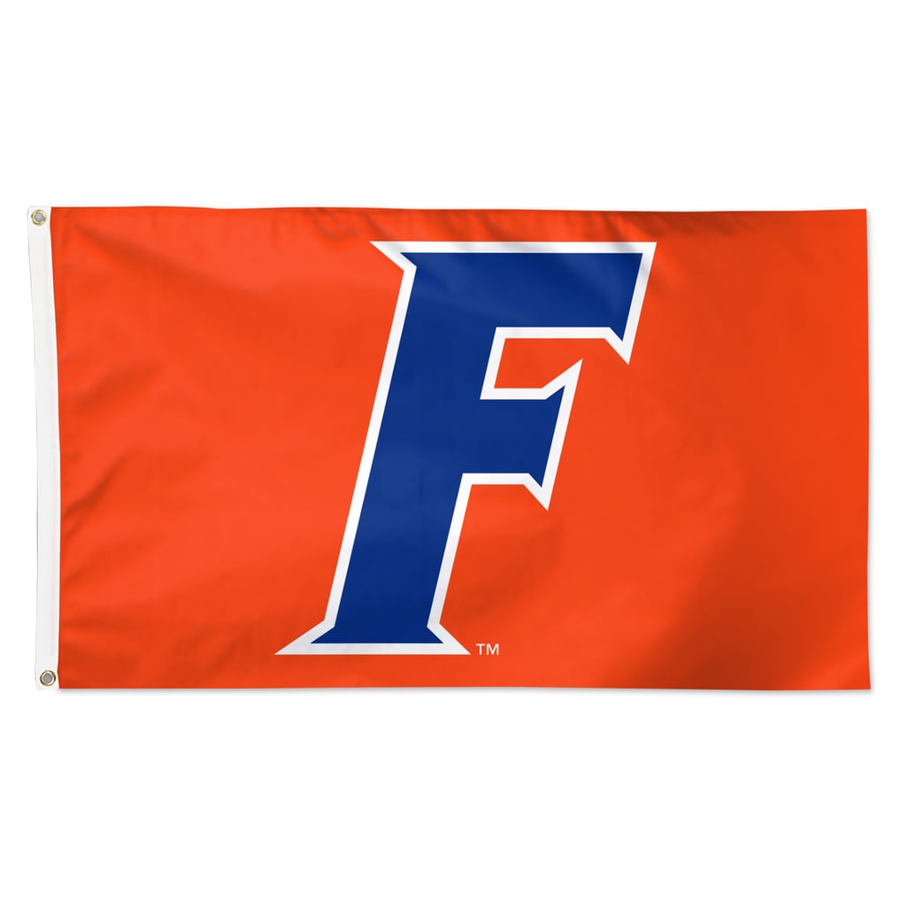 Florida Gators WinCraft 3' x 5' Single-Sided Deluxe Secondary Team Logo Flag