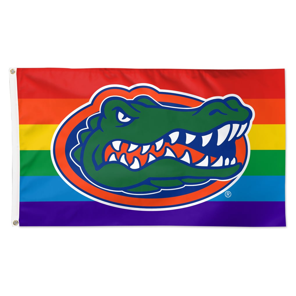 Florida Gators WinCraft 3' x 5' Single-Sided Deluxe Team Pride Flag
