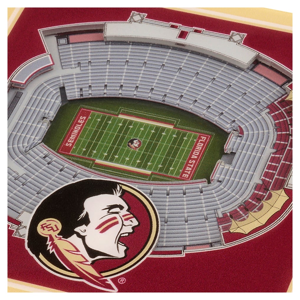 Florida State Seminoles IDNA StadiumView Cribbage Game