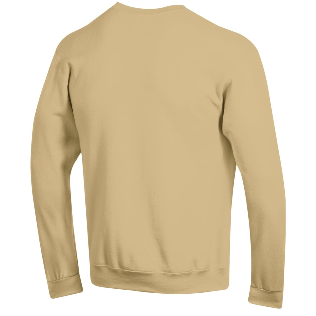 Florida State Seminoles Champion Lacrosse Icon Pullover Sweatshirt - Gold