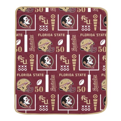 Florida State Seminoles Pegasus Team Spirit 60" x 70" Ultra Soft Blanket
