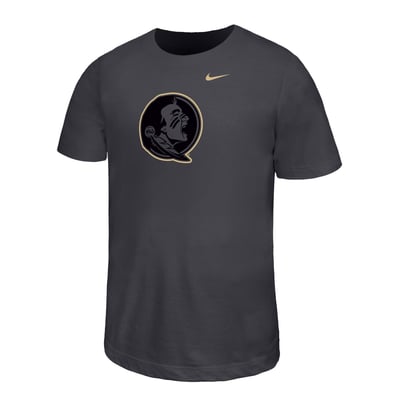 Florida State Seminoles Nike Youth Legend Color Pop Performance T-Shirt - Charcoal