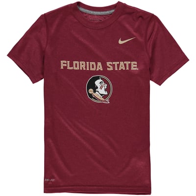 Florida State Seminoles Nike Youth Logo Legend Performance T-Shirt - Garnet