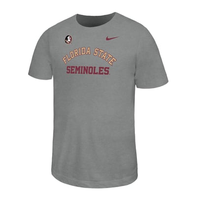  Florida State Seminoles Nike Youth Legend Dri-FIT T-Shirt - Gray