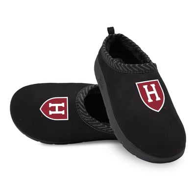 Harvard Crimson ISlide Unisex Primary Logo Mission Slippers - Black
