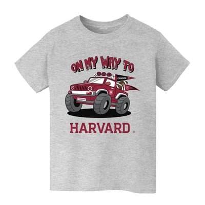 Harvard Crimson Vive La Fete Youth On My Way T-Shirt - Gray