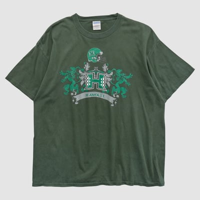 Hawaii Rainbow Warriors Gildan 2000s T-shirt - Green - L by Fanatics Real Vintage