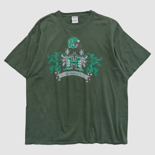 Hawaii Rainbow Warriors Gildan 2000s T-shirt - Green - L by Fanatics Real Vintage