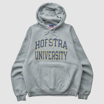 Hofstra University Champion 2000s Hooded Pullover Sweatshirt - Heather Gray - M by Fanatics Real Vintage