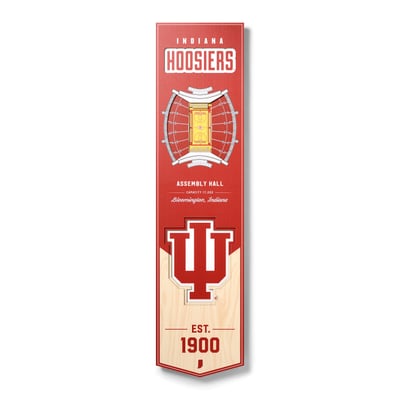 Indiana Hoosiers Fanpoint 8'' x 32'' 3D StadiumView Banner