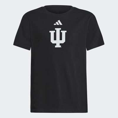  Indiana Hoosiers adidas Youth Fresh T-Shirt - Black