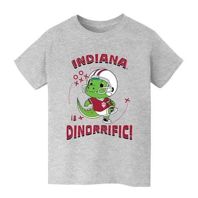 Indiana Hoosiers Vive La Fete Youth Dinorrific T-Shirt - Gray