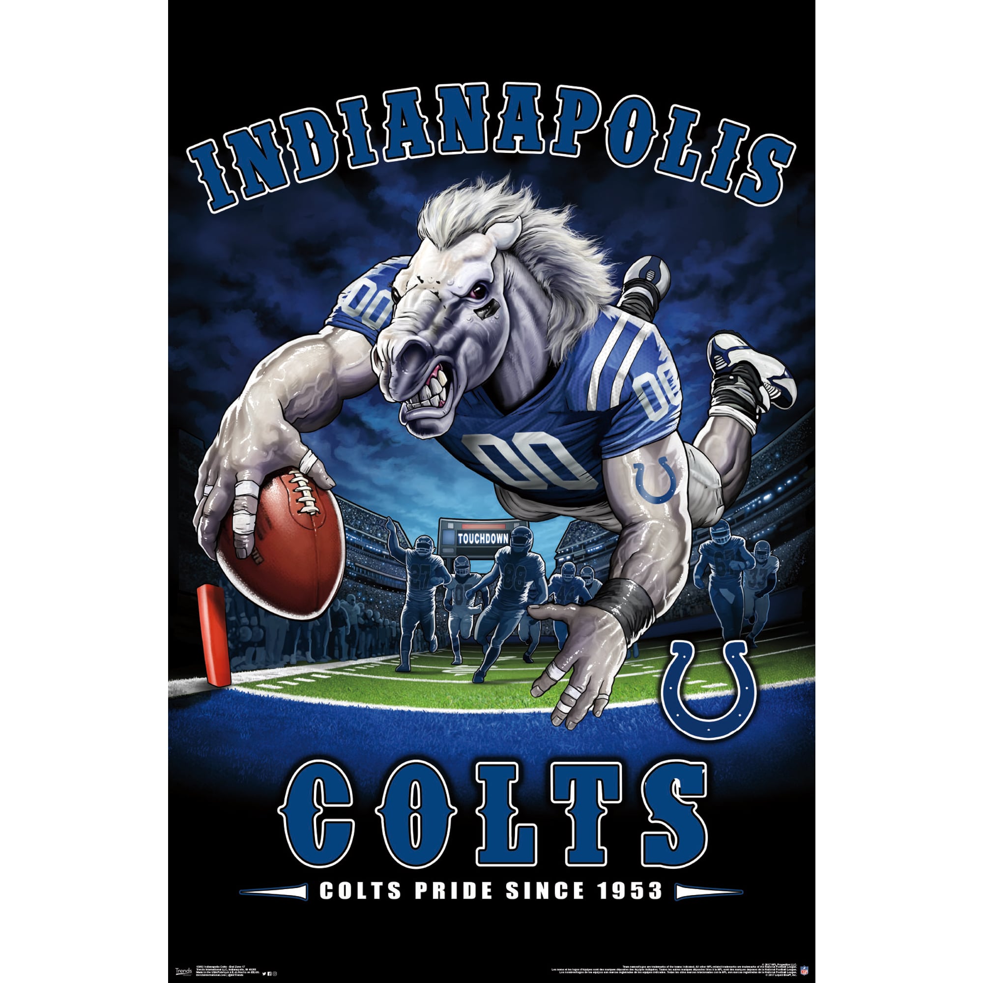 Indianapolis Colts Liquid Blue Designs 22'' x 34'' End Zone Poster