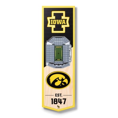 Iowa Hawkeyes Fanpoint 6'' x 19'' 3D StadiumView Banner
