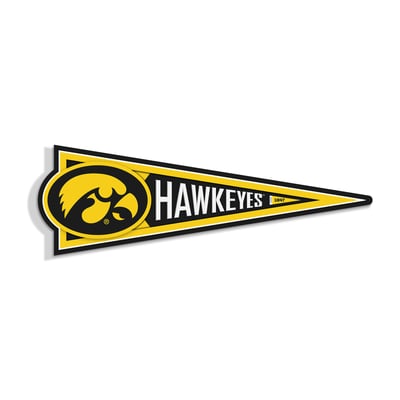 Iowa Hawkeyes IDNA 23" 3D Pennant Wall Art