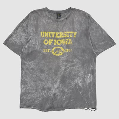 Iowa Hawkeyes Copa Banana 2000s T-shirt - Gray - XL by Fanatics Real Vintage