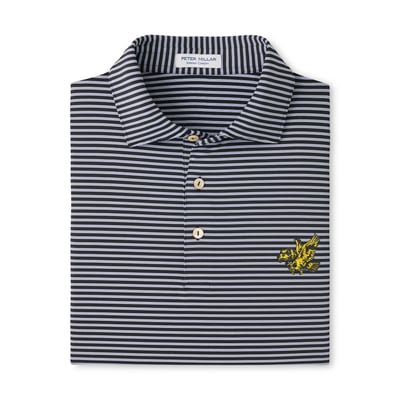  Iowa Hawkeyes Peter Millar Tiebreaker Performance Jersey Stripe Polo - Black