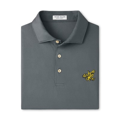  Iowa Hawkeyes Peter Millar Hugo Performance Jersey Polo - Gray