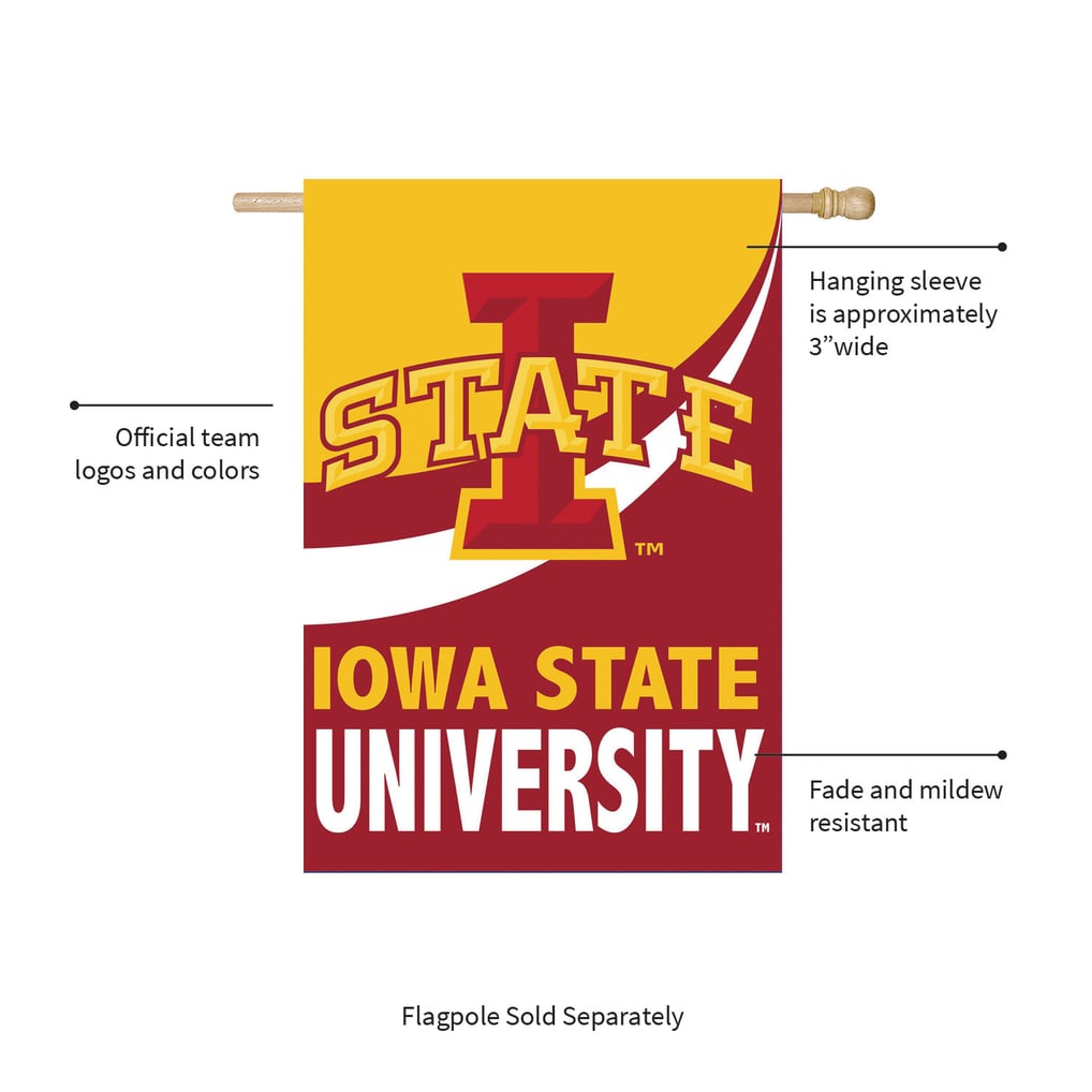 Iowa State Cyclones 29