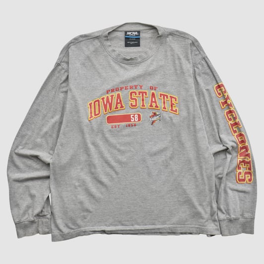 Iowa State Cyclones NCAA 2010s Long Sleeve T-shirt - Gray - L by Fanatics Real Vintage