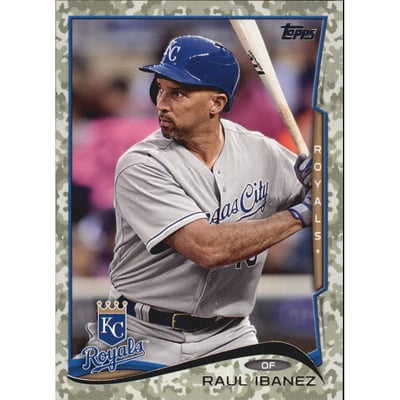 2014 Topps Update Camo #US58 Raul Ibanez