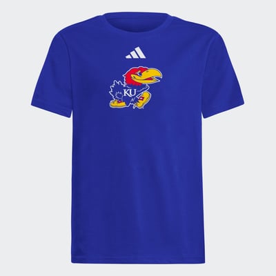  Kansas Jayhawks adidas Youth Fresh T-Shirt - Royal