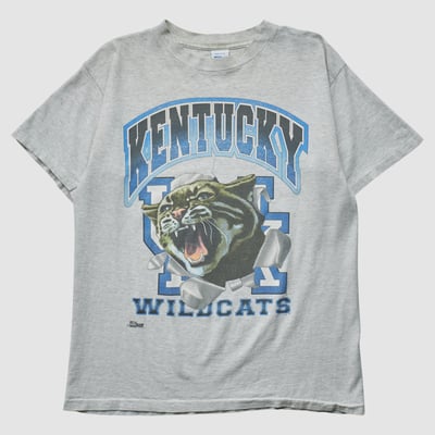 Kentucky Wildcats Salem 90s T-shirt - Heather Gray - M by Fanatics Real Vintage