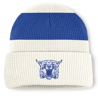  Kentucky Wildcats Nike Unisex Legacy Letter Cuffed Knit Hat - White