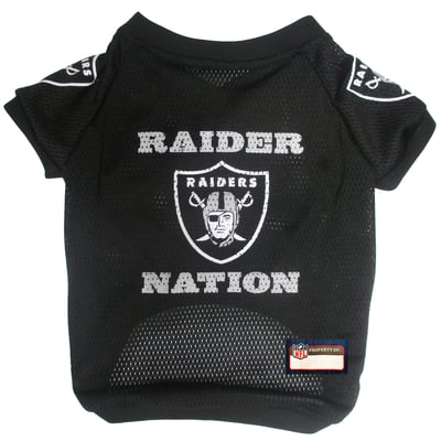 Las Vegas Raiders Raglan Pet Jersey - Black