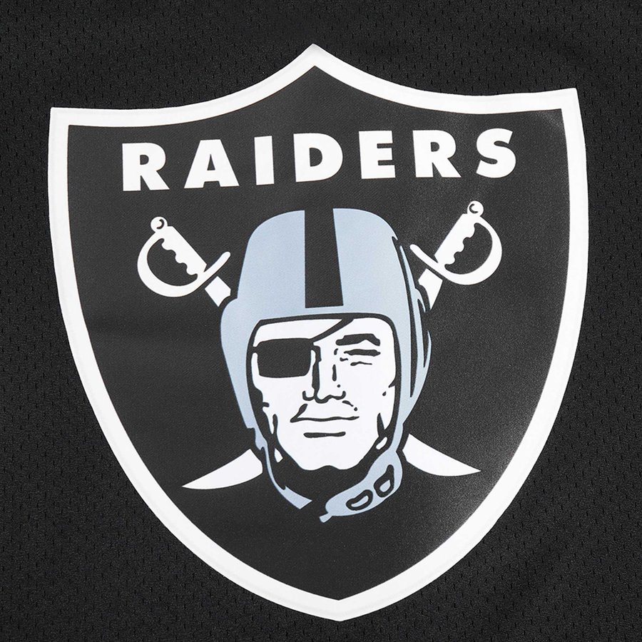 Raiders Baseball Logo