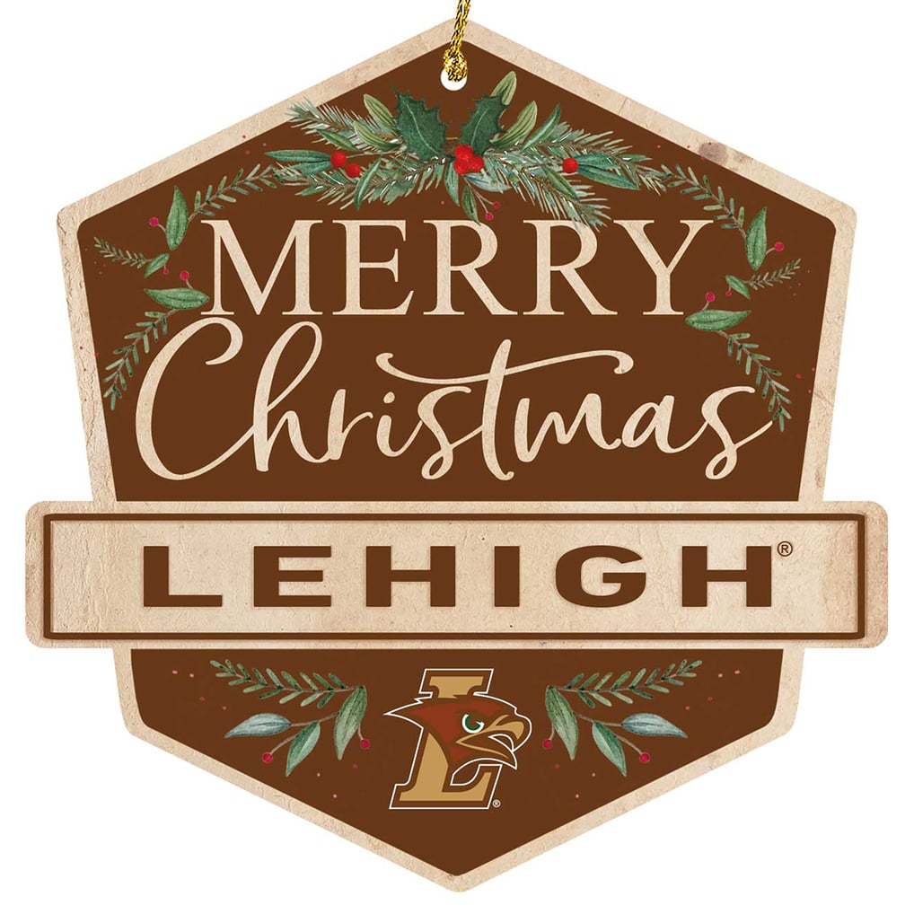 Lehigh Mountain Hawks Ornament Bundle