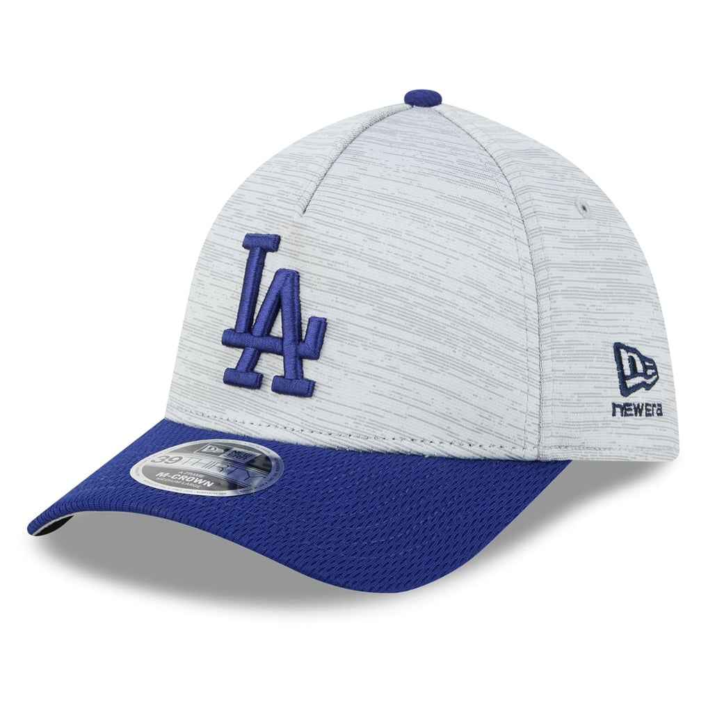 Men's Los Angeles Dodgers New Era Gray/Royal Tech 39THIRTY A-Frame Flex Hat
